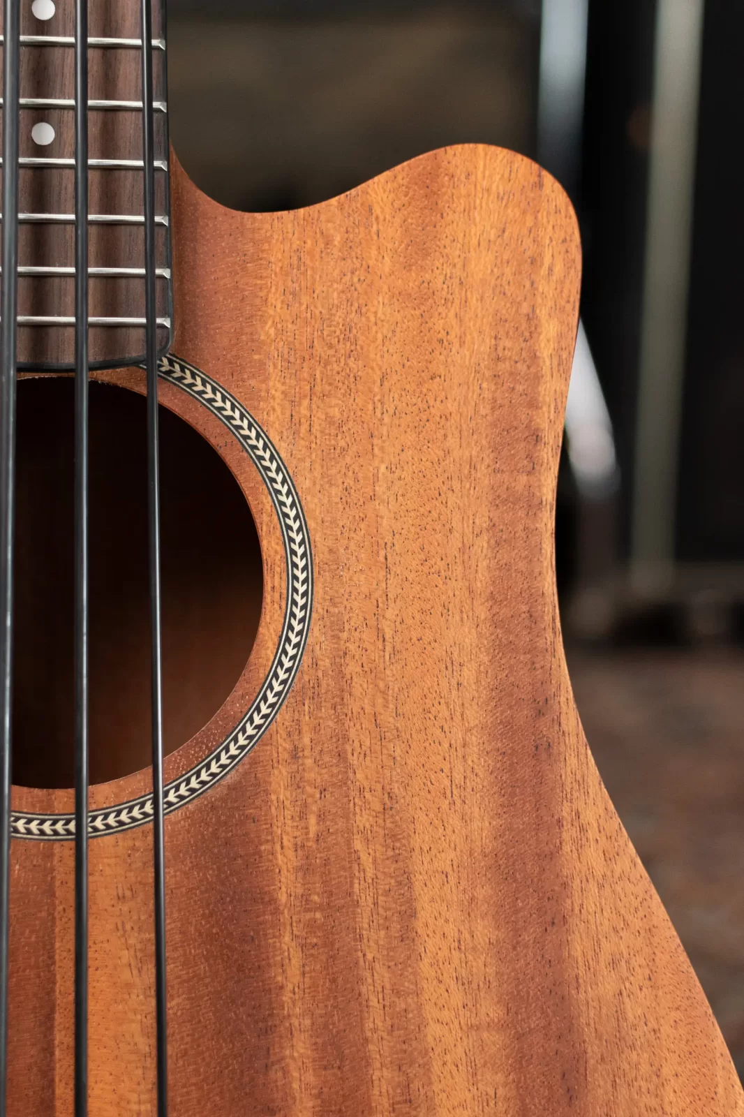 Gold Tone M-Bass 23' Scale Acoustic-Electric MicroBass with