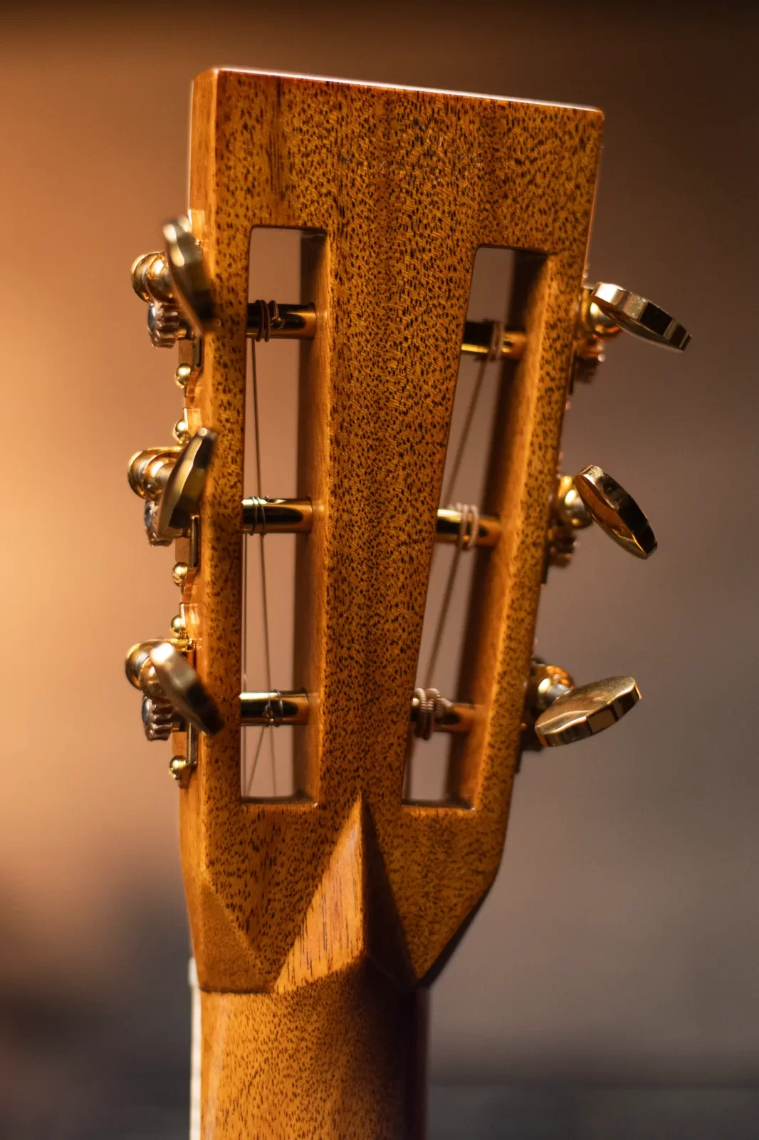 ギター bibian martin oo18 cocobolo Platinum Martin Custom Shop 28 Style Dreadnought Cocobolo