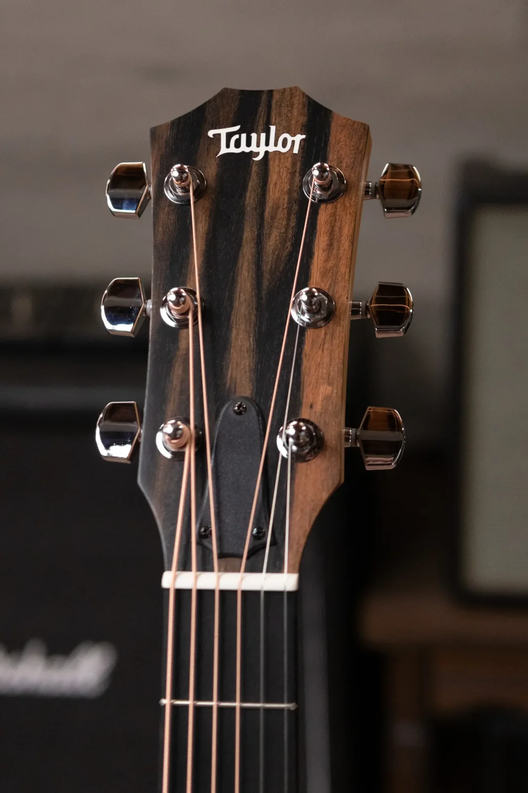 テイラー110-cc Taylor 110ce Dreadnought Acoustic/Electric Guitar with Gig