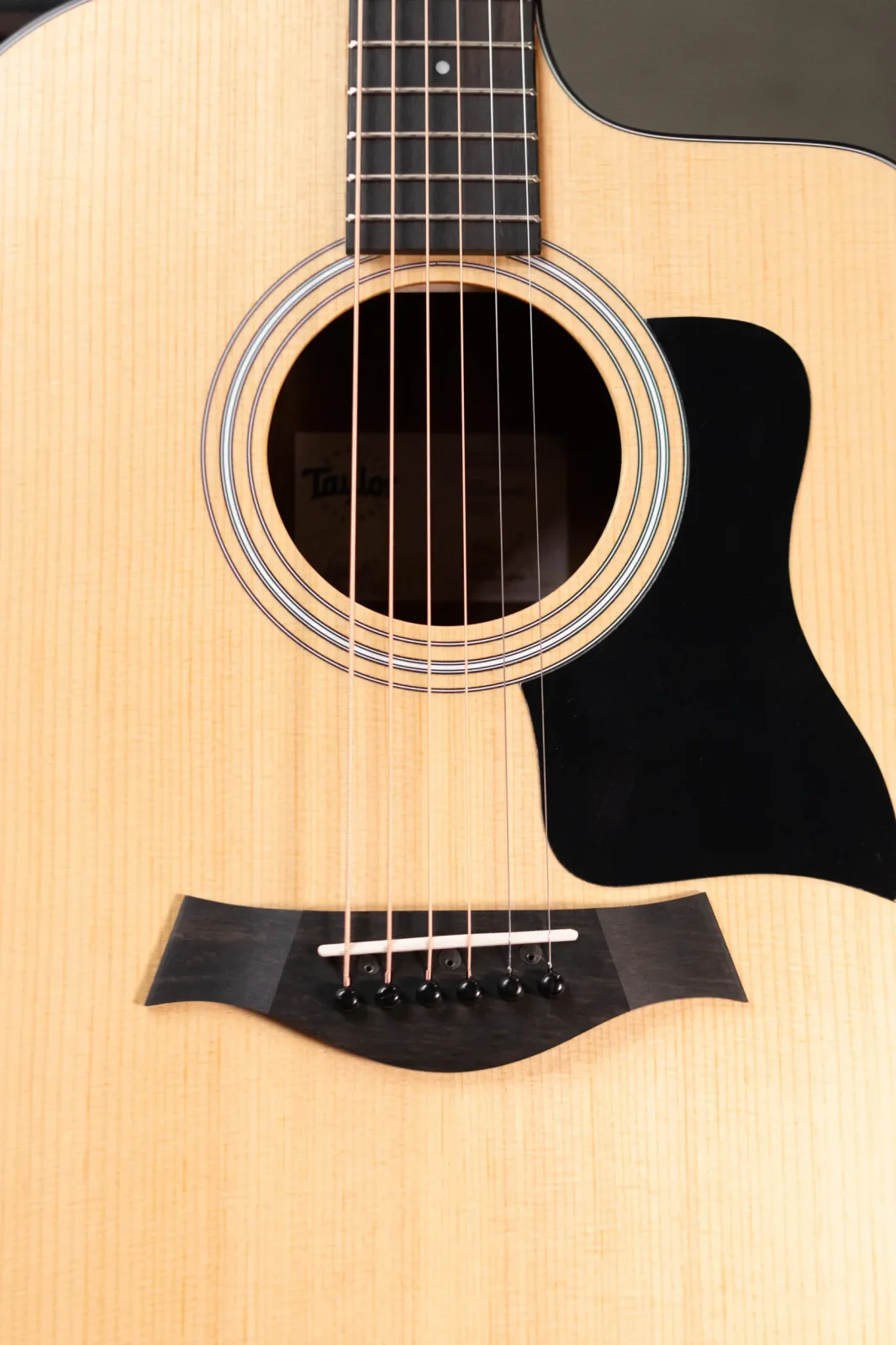 Taylor 110ce Dreadnought Acoustic/Electric Guitar with Gig