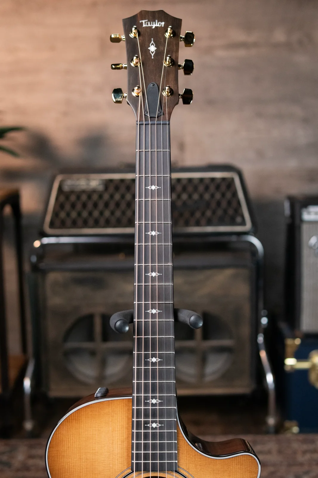 Taylor 312ce LTD 50th Anniversary Grand Concert Acoustic