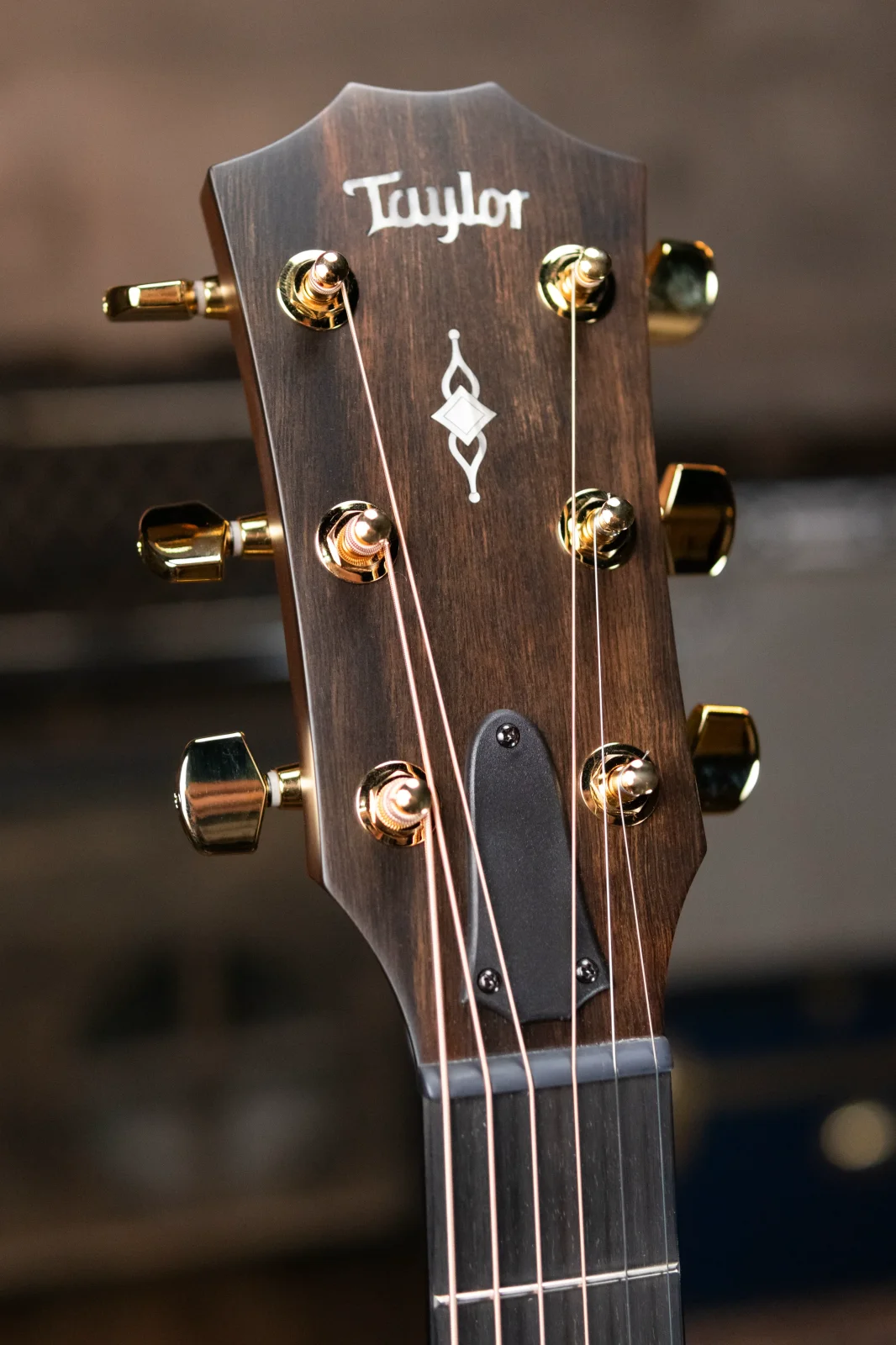Taylor 312ce LTD 50th Anniversary Grand Concert Acoustic