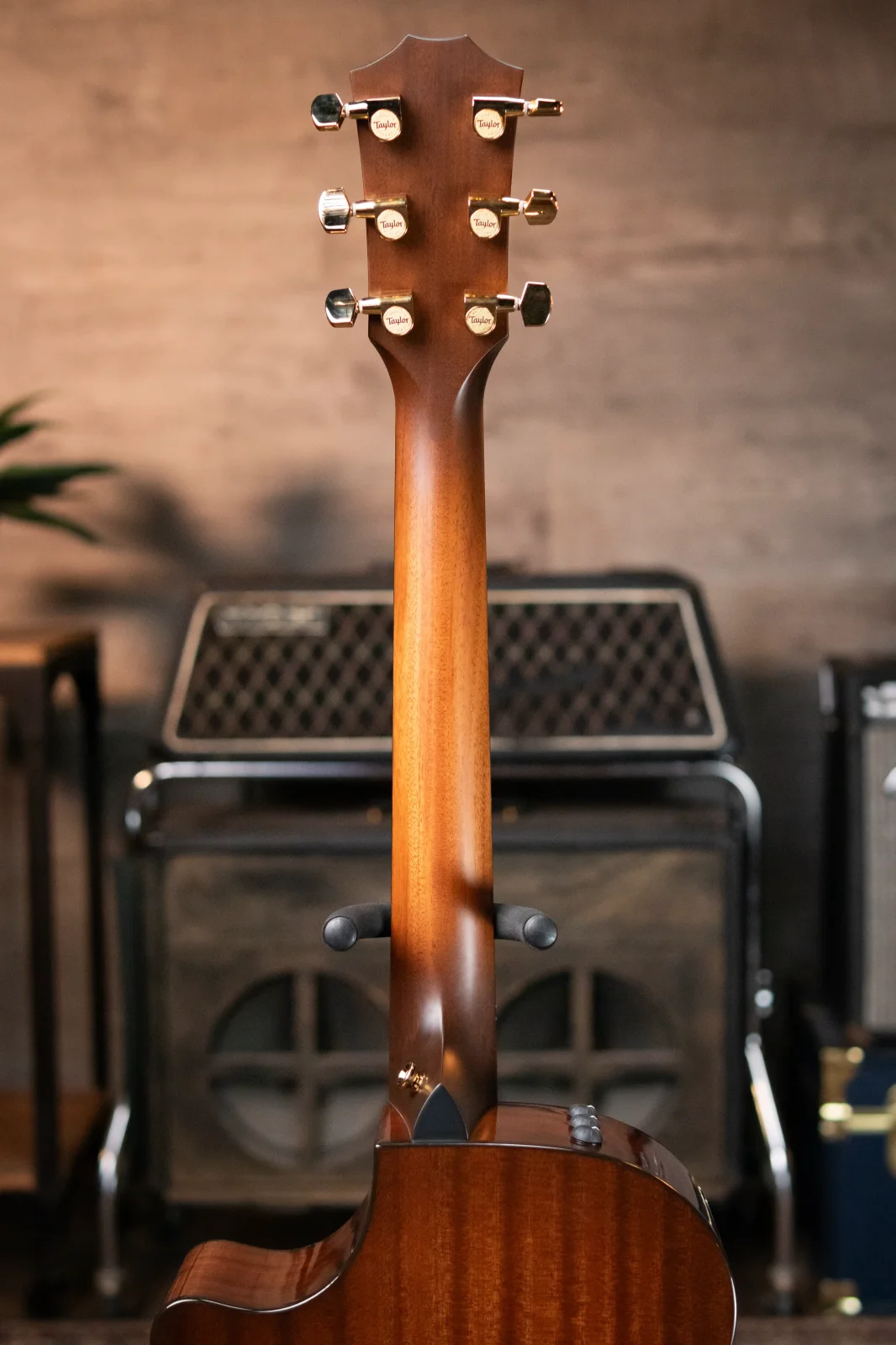 Taylor 312ce LTD 50th Anniversary Grand Concert Acoustic