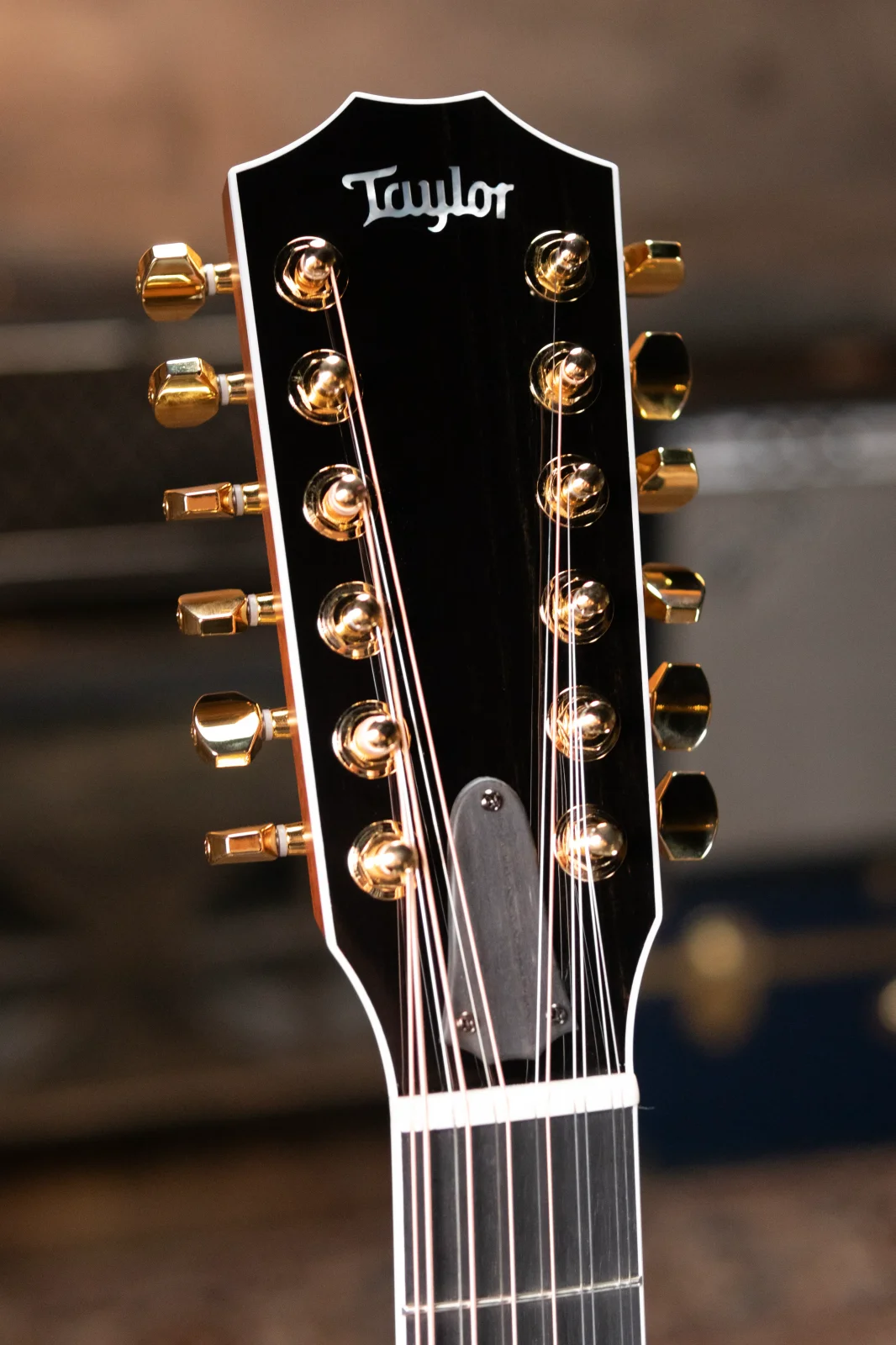 Taylor 858e LTD 50th Anniversary 12-String Grand Orchestra