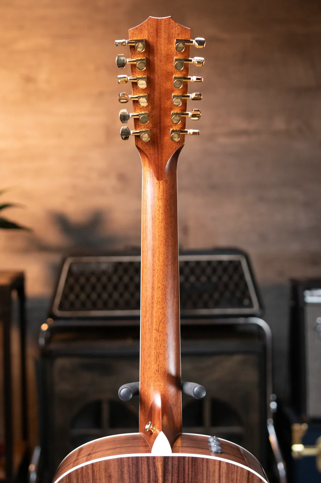 Taylor 858e LTD 50th Anniversary 12-String Grand Orchestra