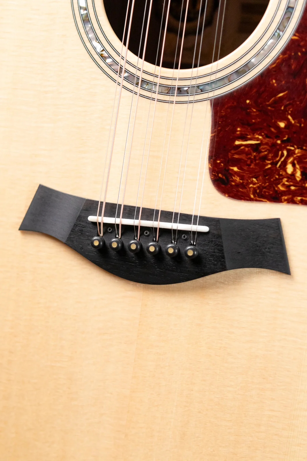 Taylor 858e LTD 50th Anniversary 12-String Grand Orchestra