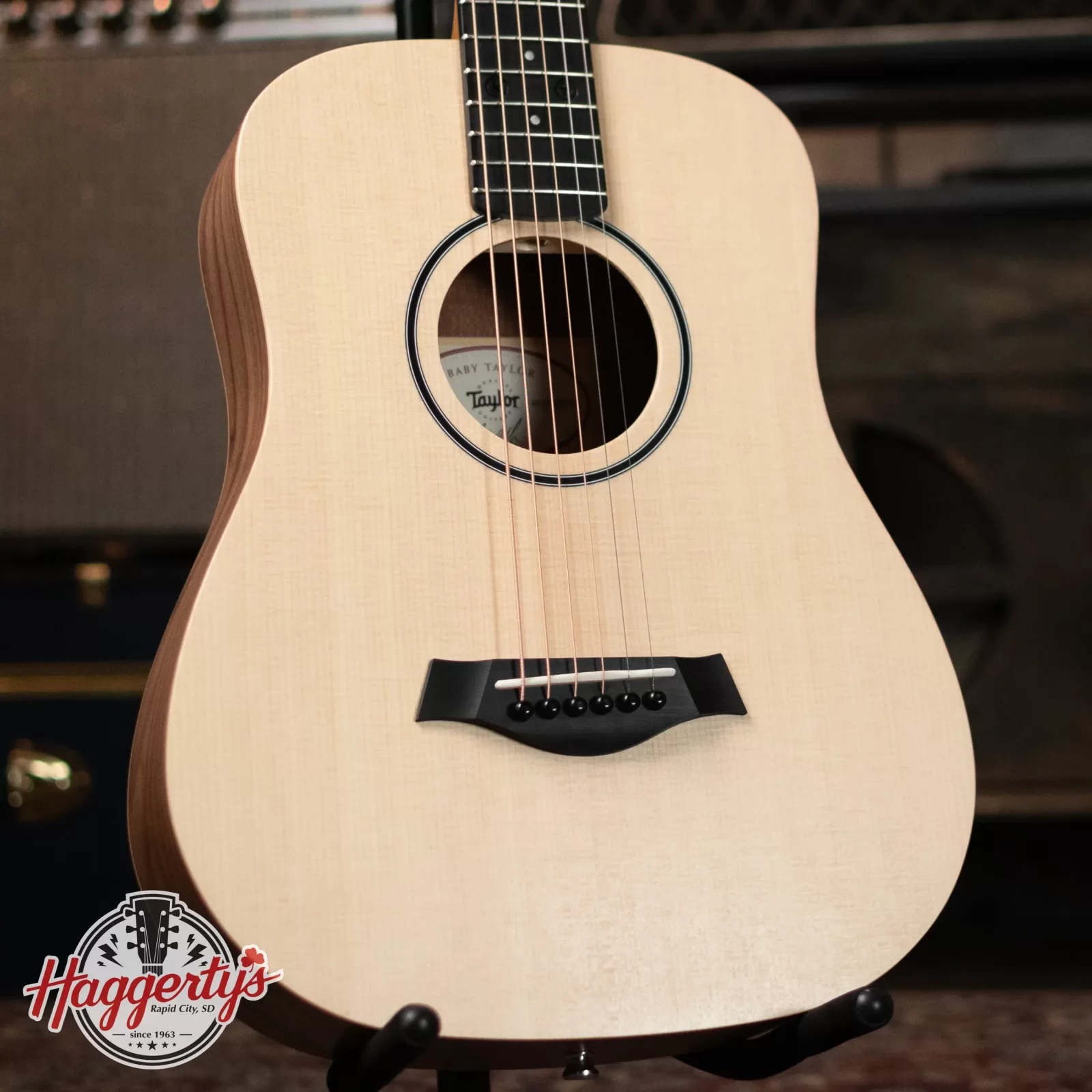 Taylor BT1 Baby Taylor Acoustic Guitar - 887766105398