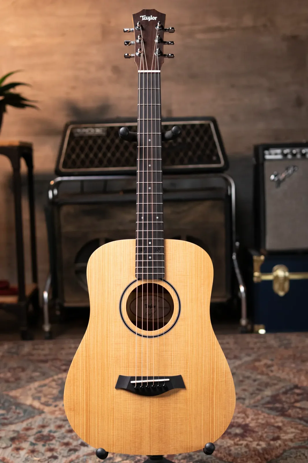 Taylor BT1 Baby Taylor Acoustic Guitar with Gig Bag