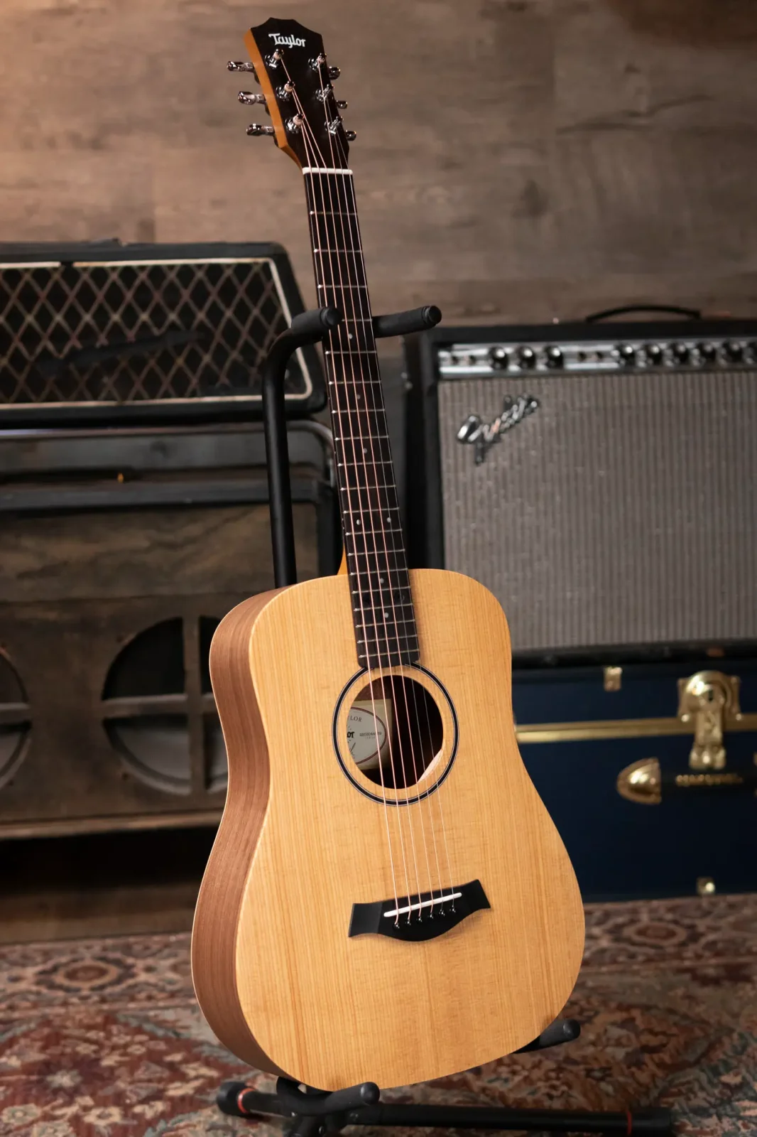 baby taylor BT1 ソフトケース付き