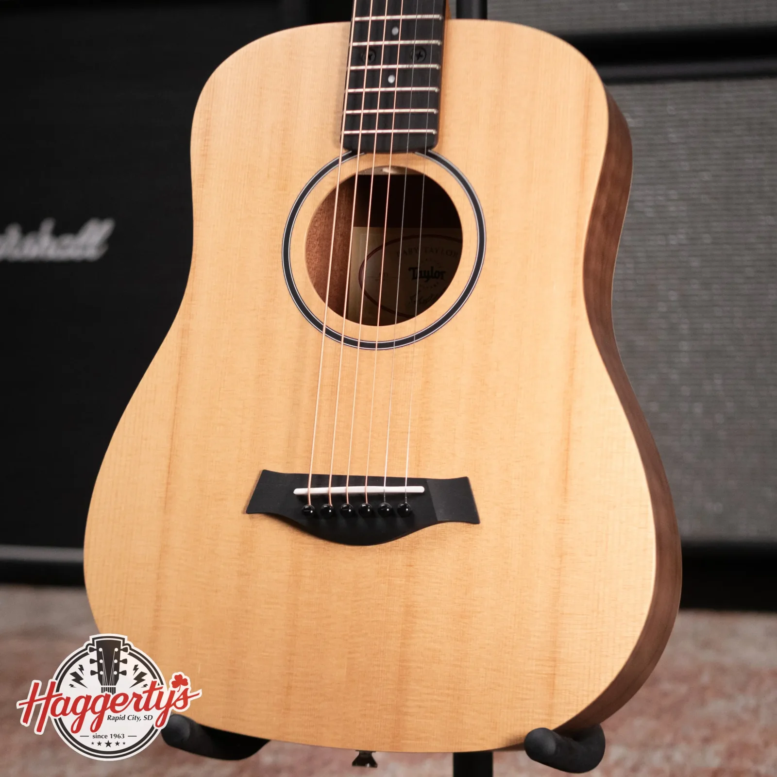 Taylor BT1 Baby Taylor with Gig Bag - 00887766105398
