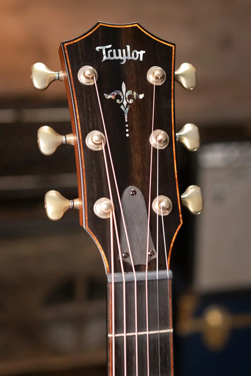 Taylor Builder's Edition 914ce Wild Honey Burst Grand