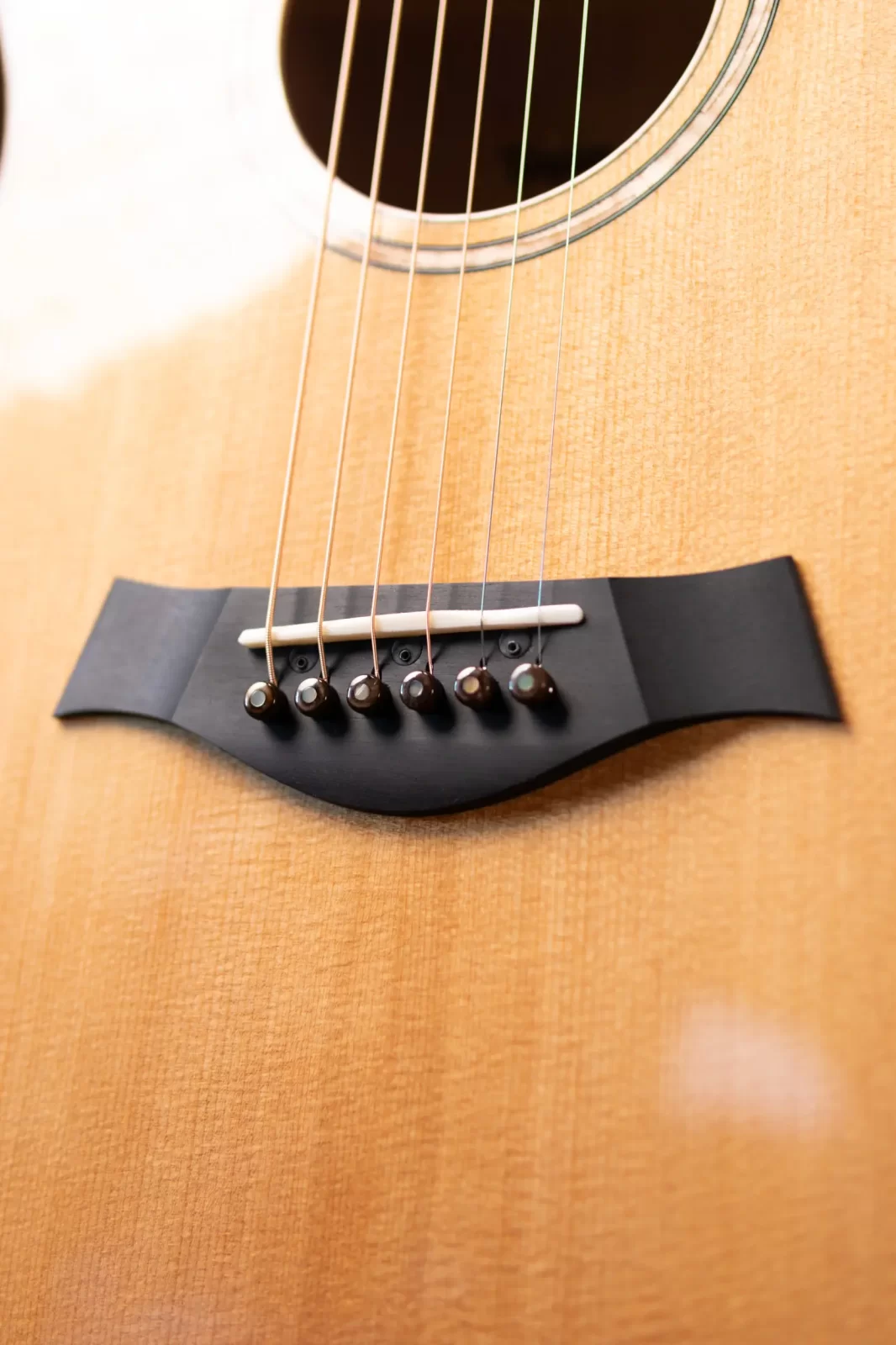 Taylor '24 Catch Custom C14ce #8 Grand Auditorium Figured