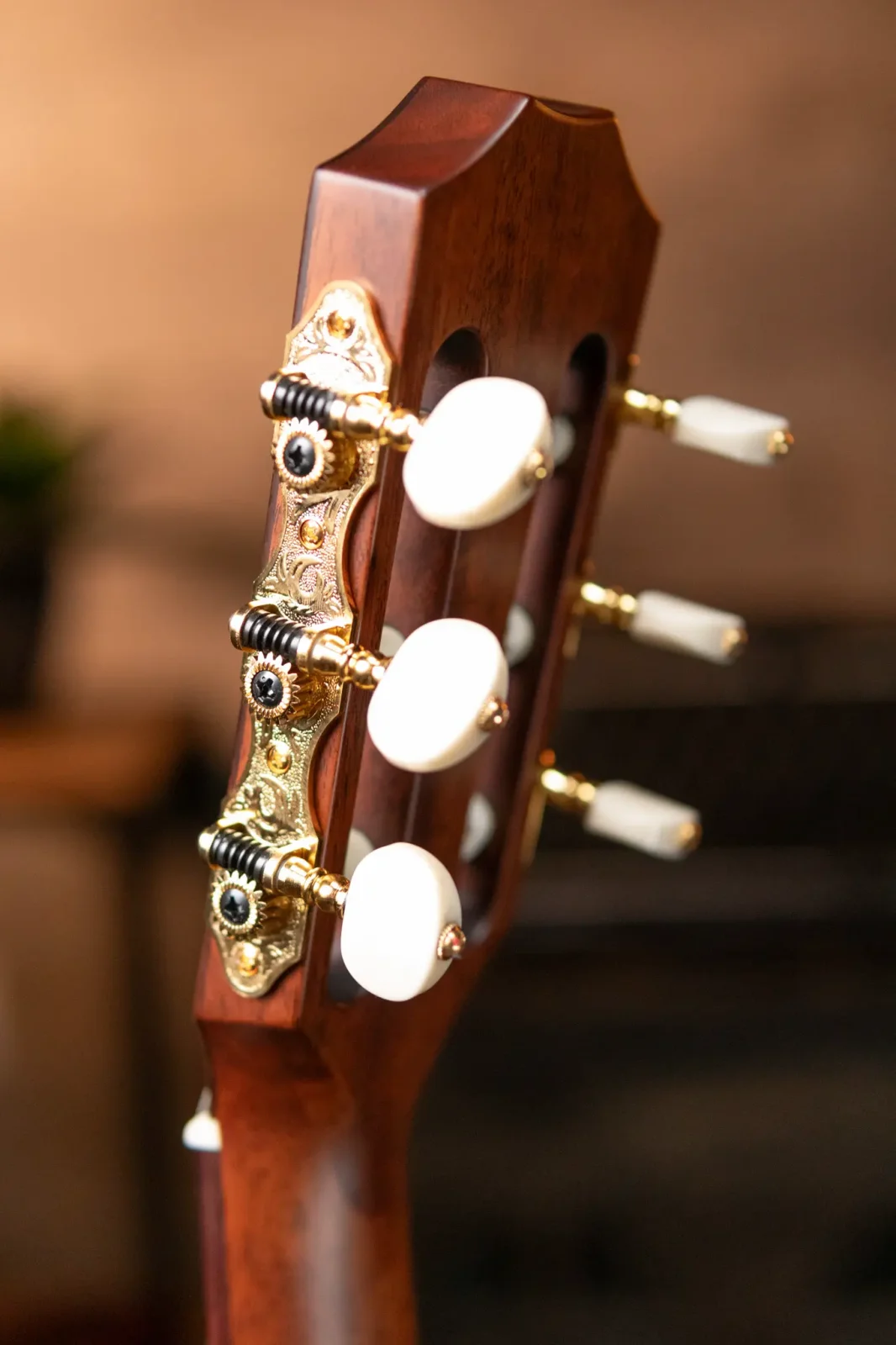Taylor JMSM Jason Mraz Signature Nylon Acoustic/Electric