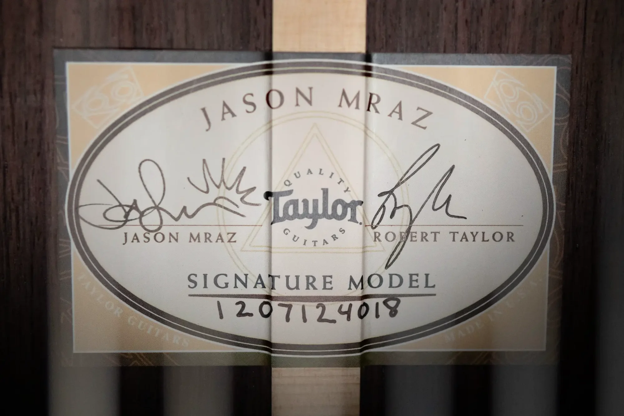 Taylor JMSM Jason Mraz Signature Nylon Acoustic/Electric
