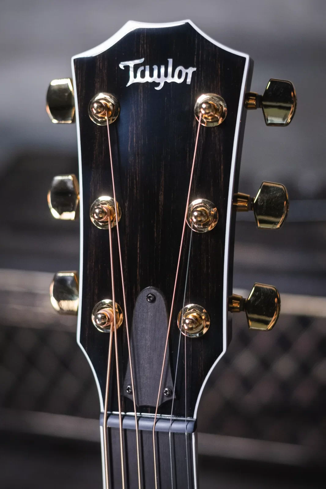 Taylor 614ce Special Edition Grand Auditorium Acoustic
