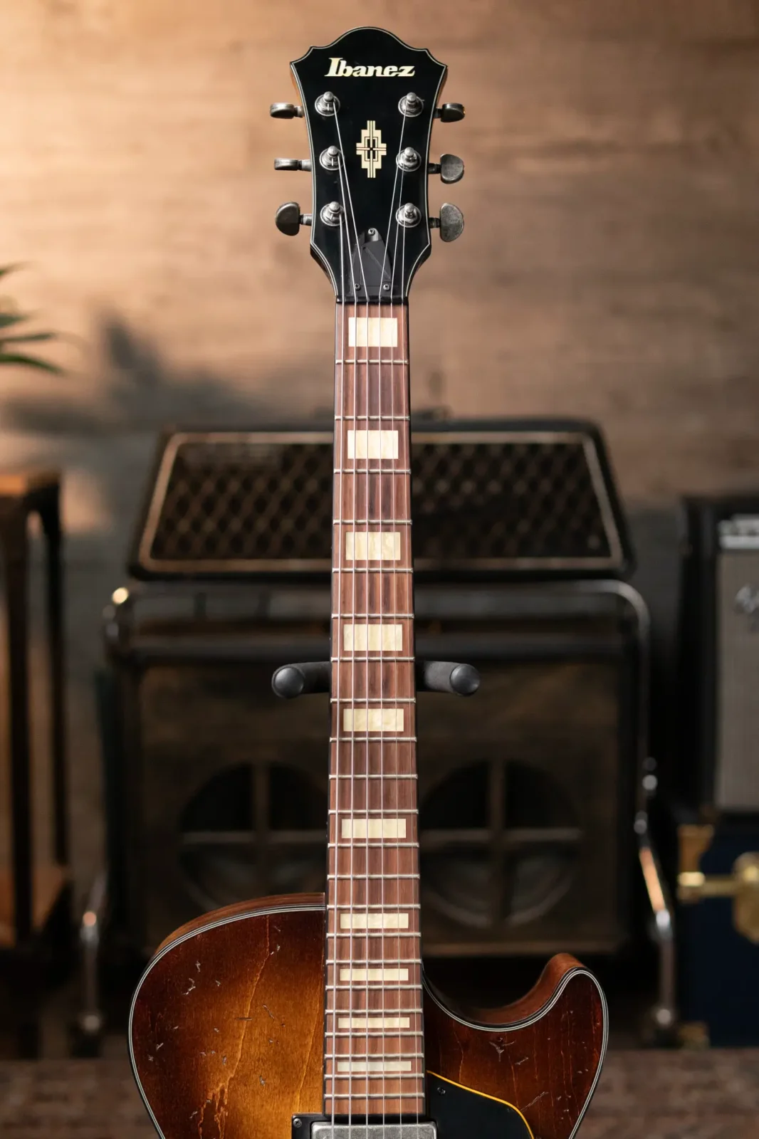 Ibanez AGV10A-TCL-12-01 Hollowbody Electric Guitar, Tobacco Burst  