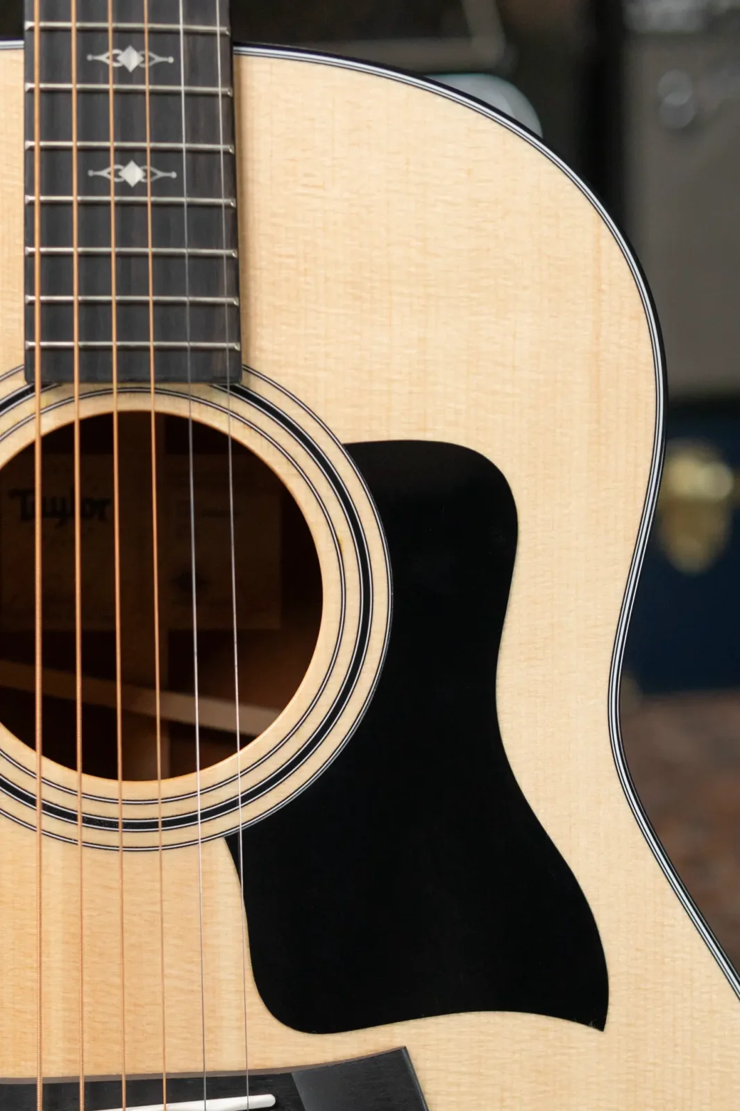 Taylor 317e Grand Pacific Acoustic/Electric Guitar with