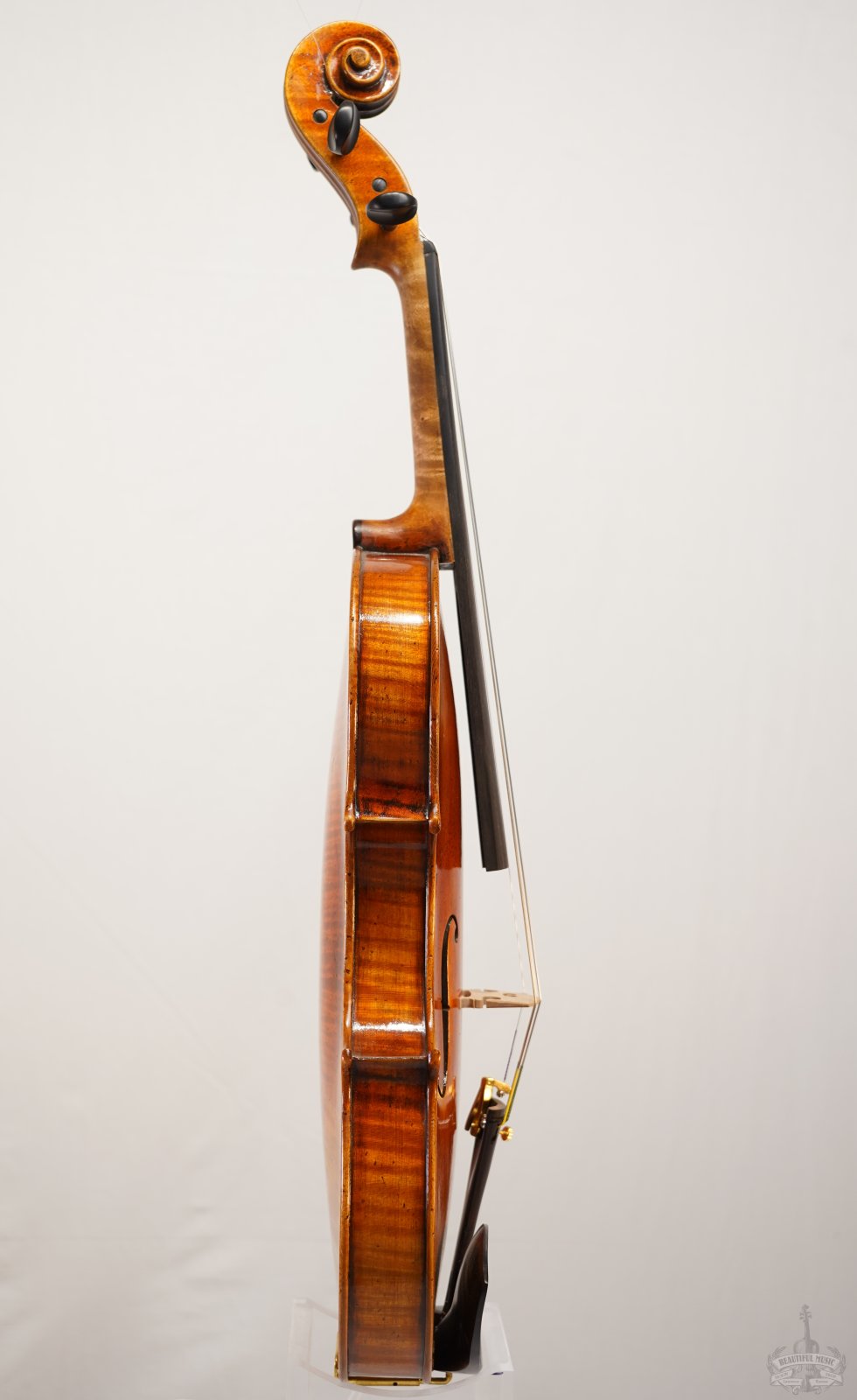 4/4 Violin Antonio Fiorini - V650G_PL