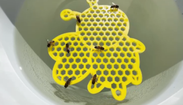 BEE PONTOON: HONEY BEE SHAPE