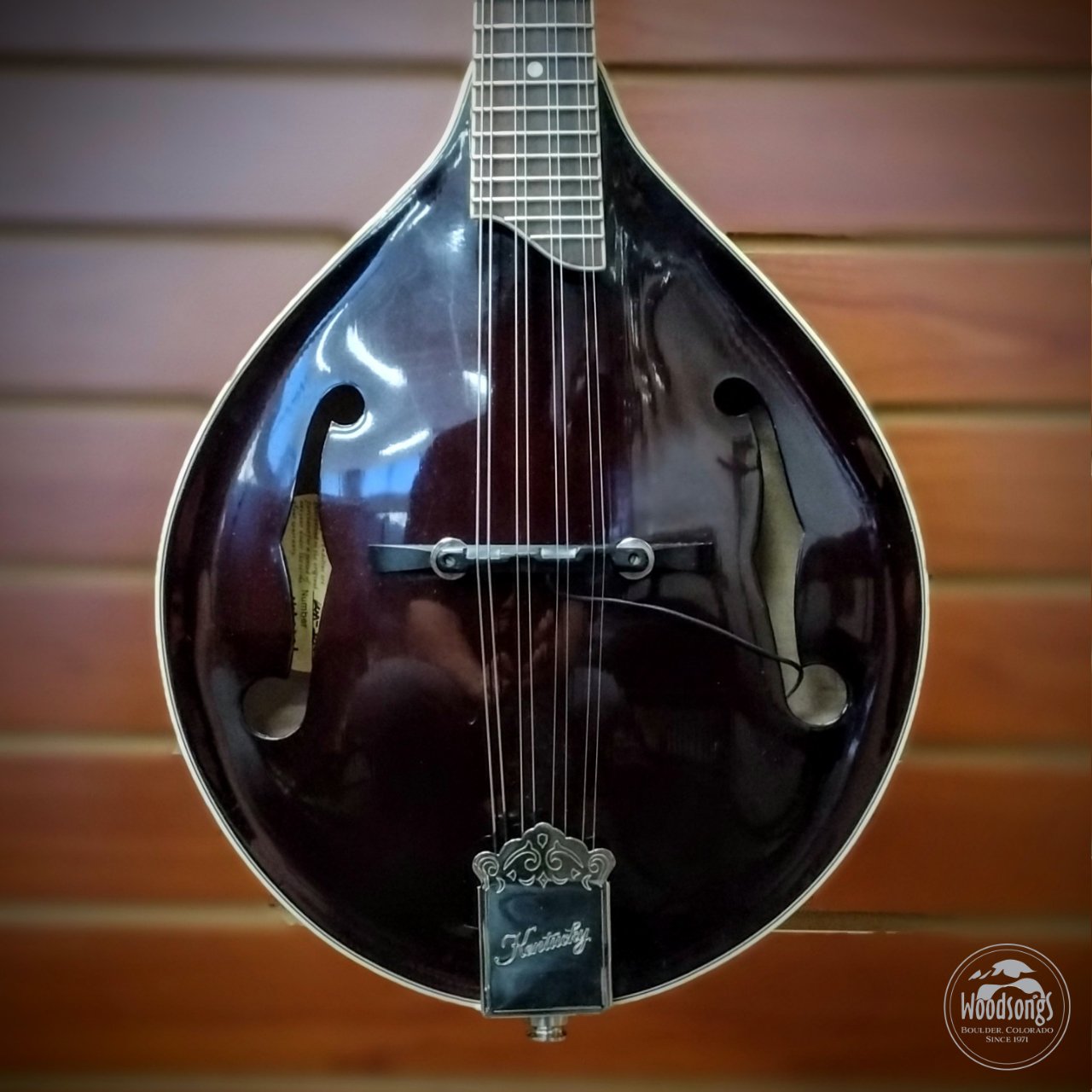 USED Kentucky KM254 AStyle Mandolin (with pickup)