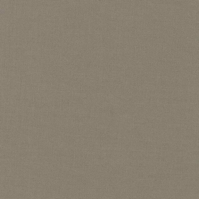 Kona Cotton by Robert Kaufman K221-859 Zinc sold by the 1/2 yd.