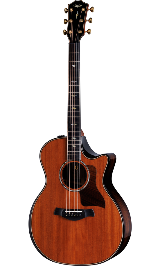Taylor Guitar - 50th Anniversary 814ce Builder's Edition LTD