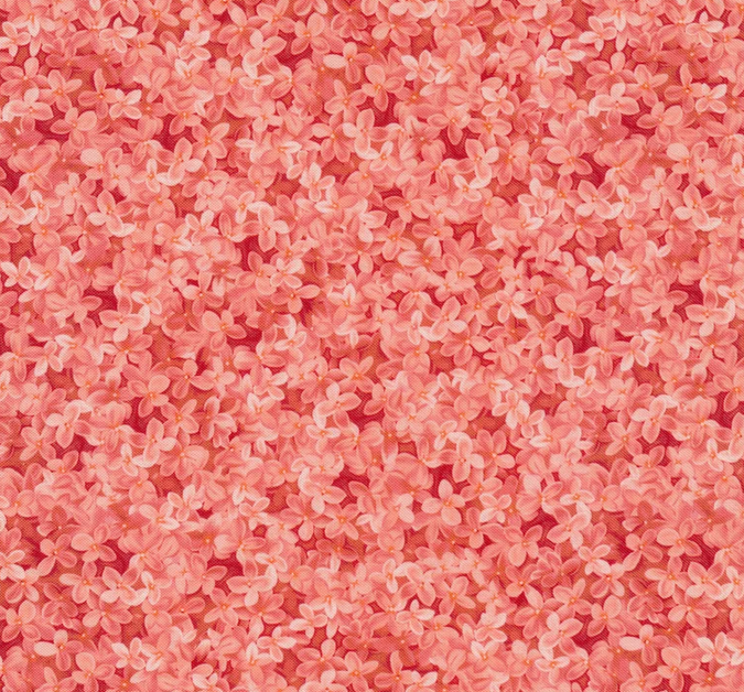 Coral- Sweet Blush Rose    04643R