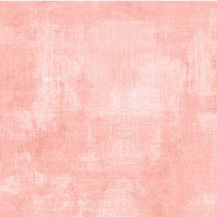 Coral- Dry Brush- Basic     89205 881    
