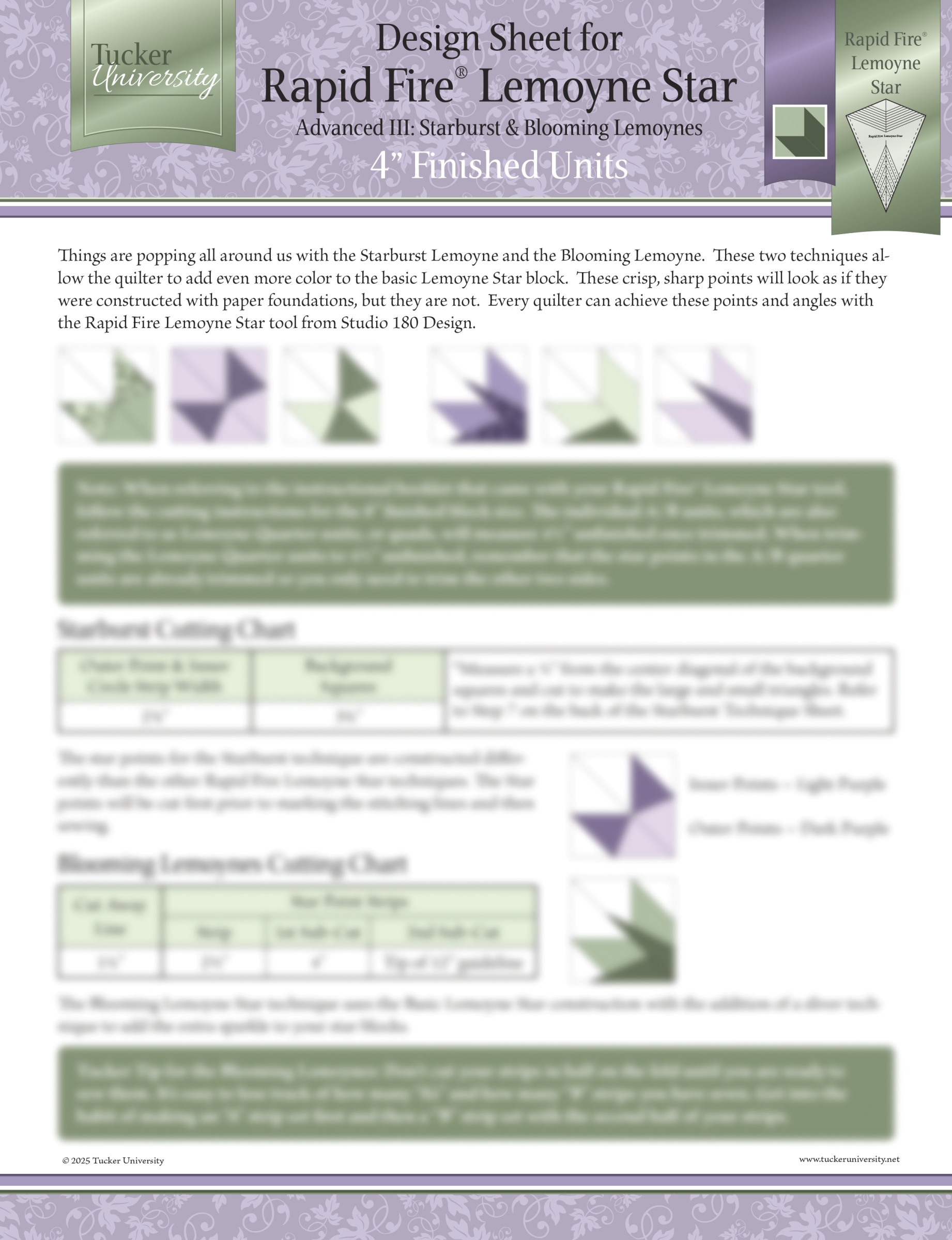 Bundle - Rapid Fire Lemoyne Star Design Sheets (Basic, Adv I, Adv II, Adv III))