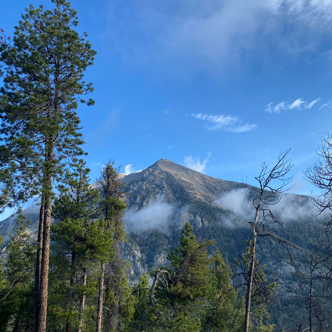 Trail Photo 5