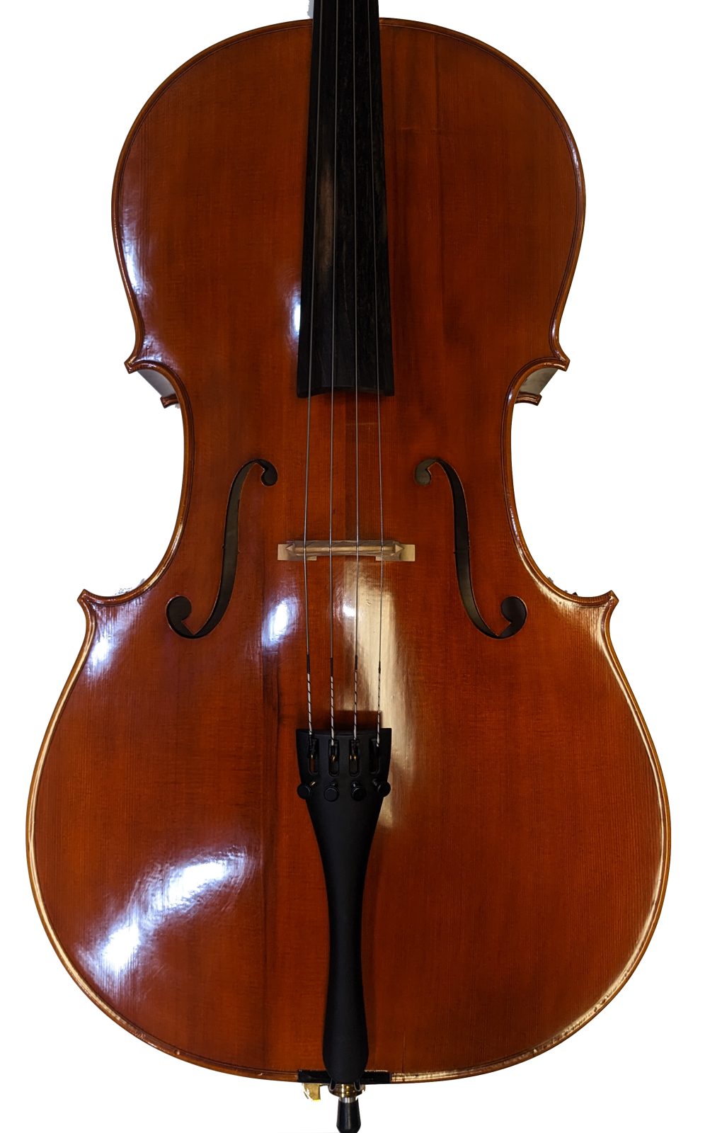 cello Century Strings Angel Taylor 120 Cello - Outfit