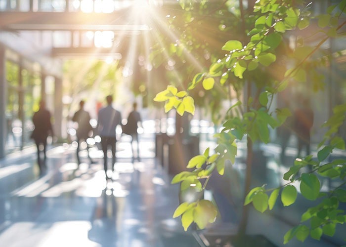 Outdoor scene of people walking out of focus