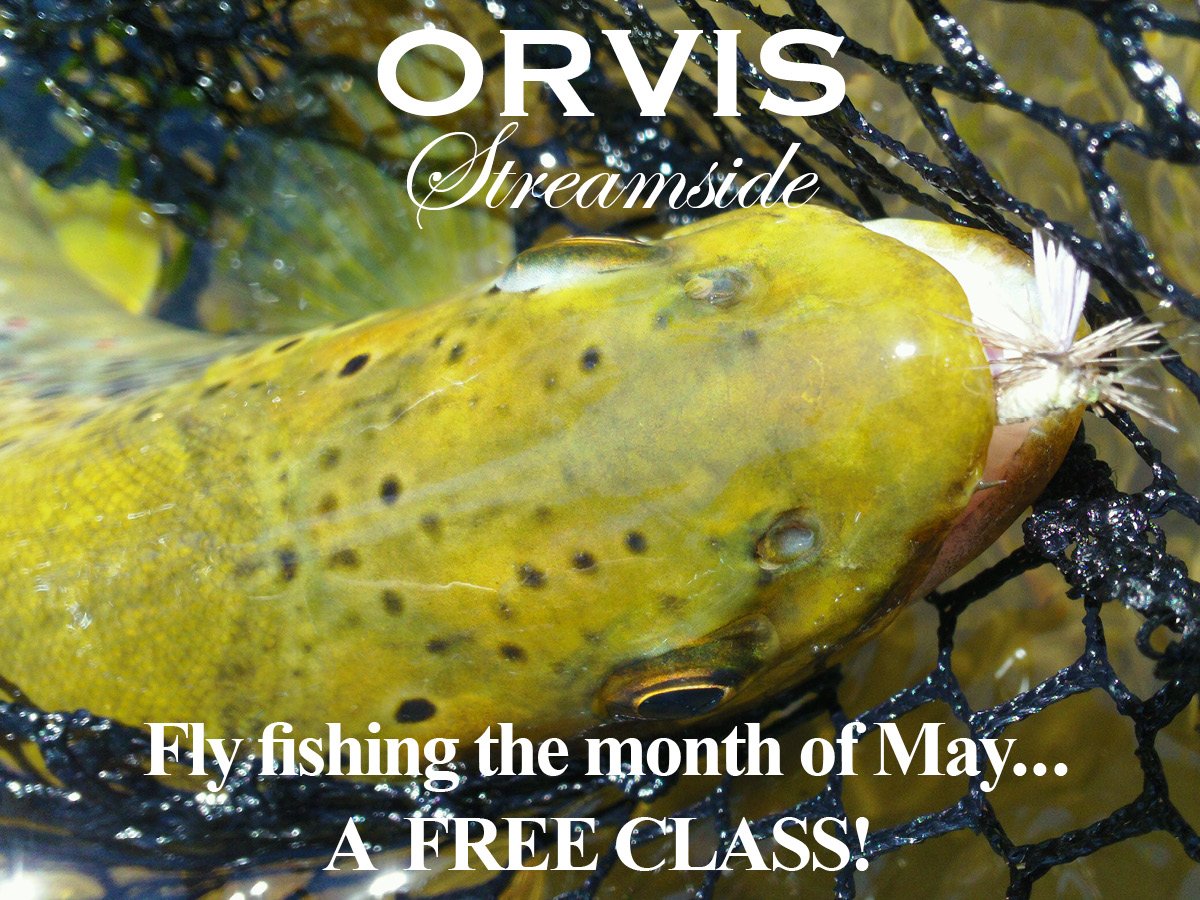 May Fly Fishing Techniques