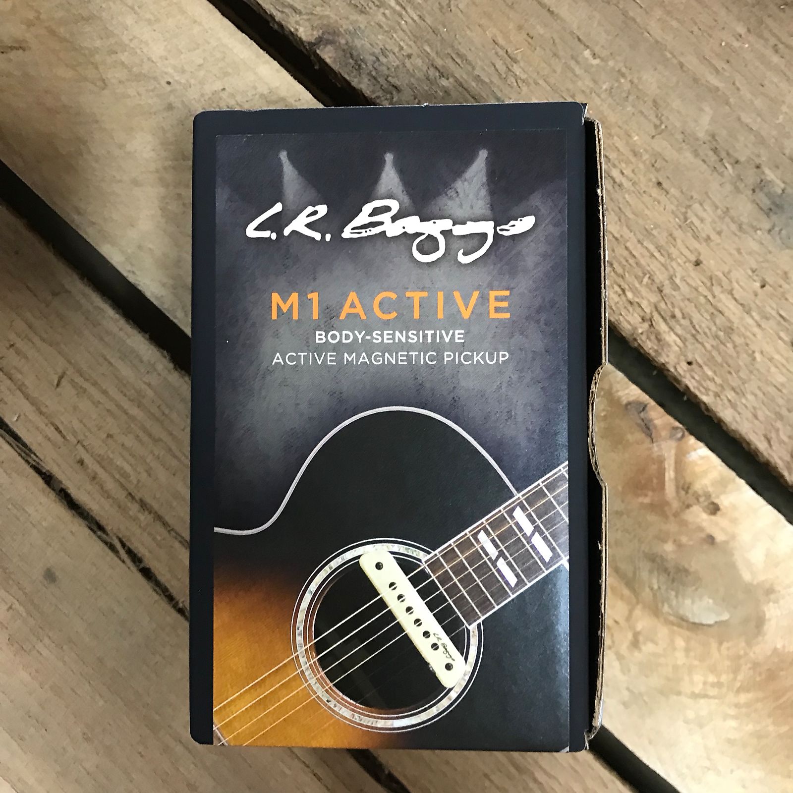 魅力的な Guitar R. L.R.Baggs / M1 M1 Active Series Soundhole