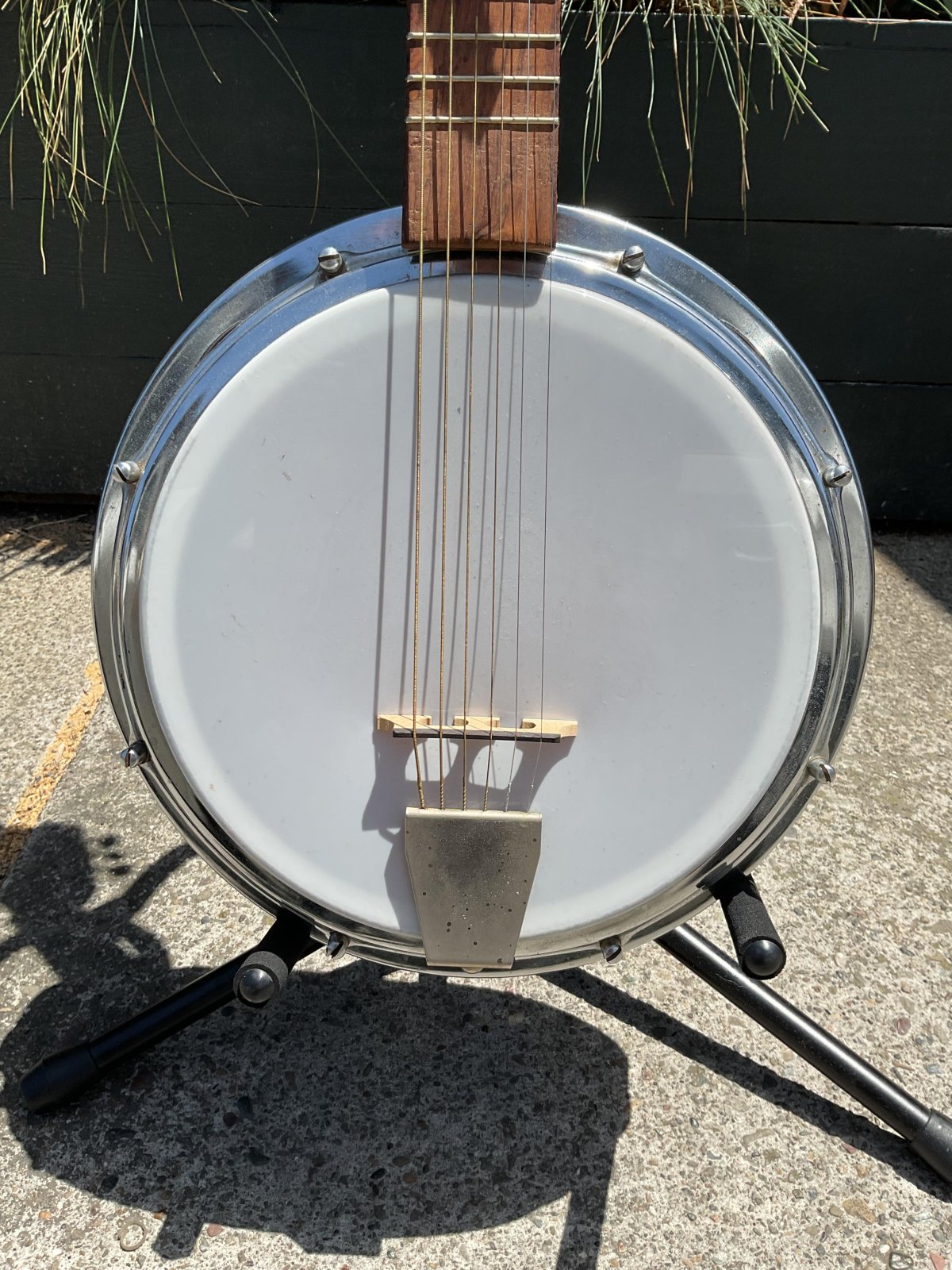 Framus Texan 6 String Banjo