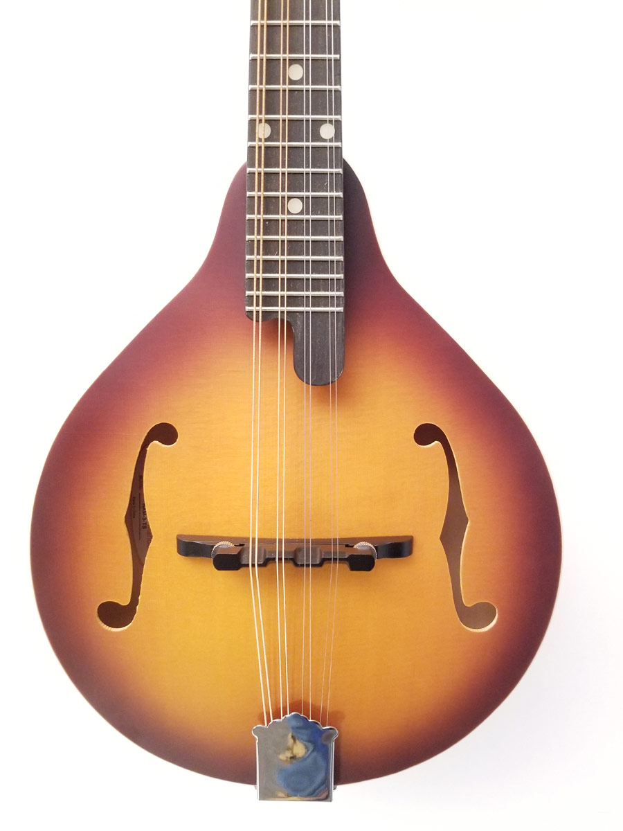 弦楽器 Recording King Mandolin Recording King Mandolin