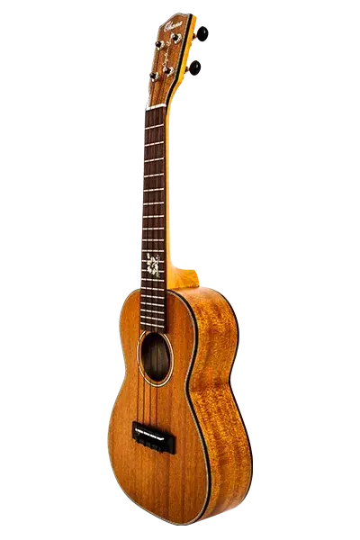 Ohana CK-14E-CL Concert Uke Cynthia Lin Signature Passive Pickup Lam. Mahogany with Worth Strings
