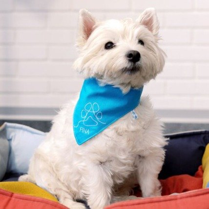 FREE! bernette b59 Sewing and Embroidery Machine Dog Bandana Instructions & Pattern