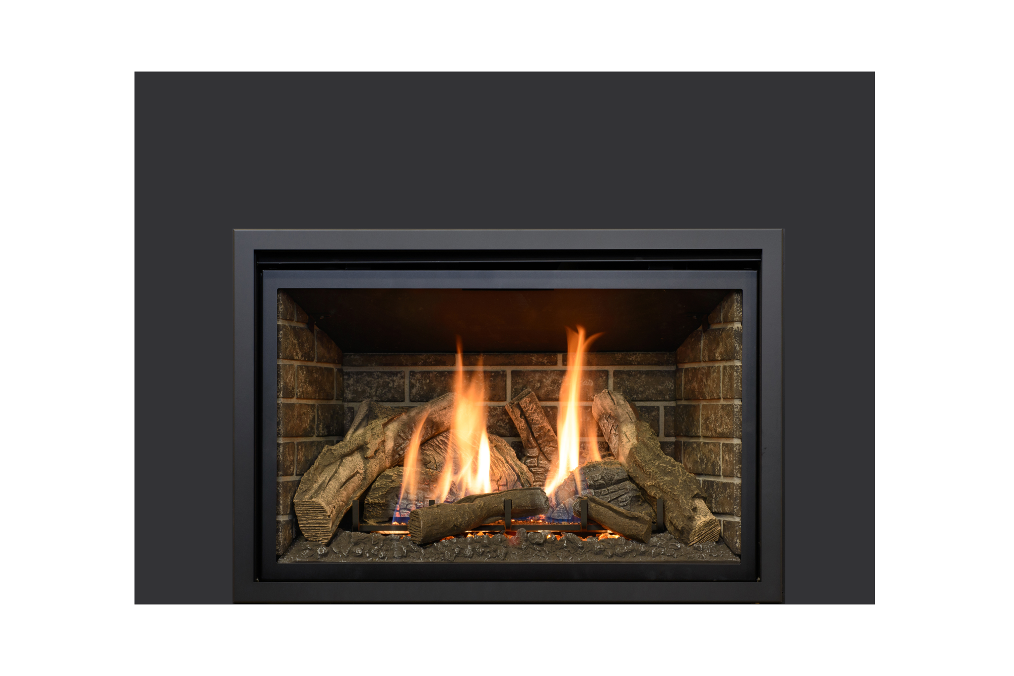 Chaska 34 DV Gas Insert - Log