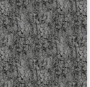 Into The Nature Gray Bark