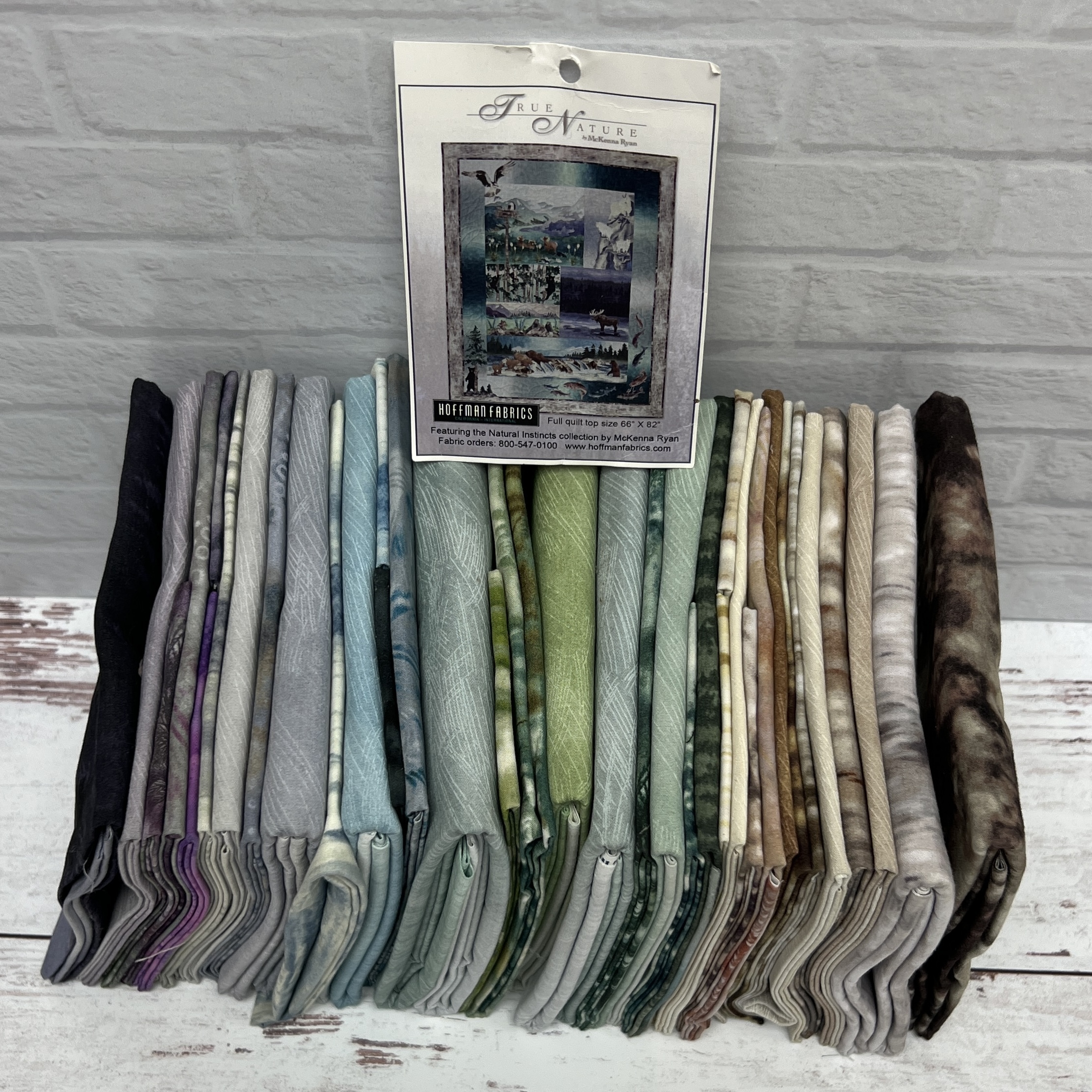 From the Archives: True Nature by McKenna Ryan Quilt Kit (Pattern Not Included)