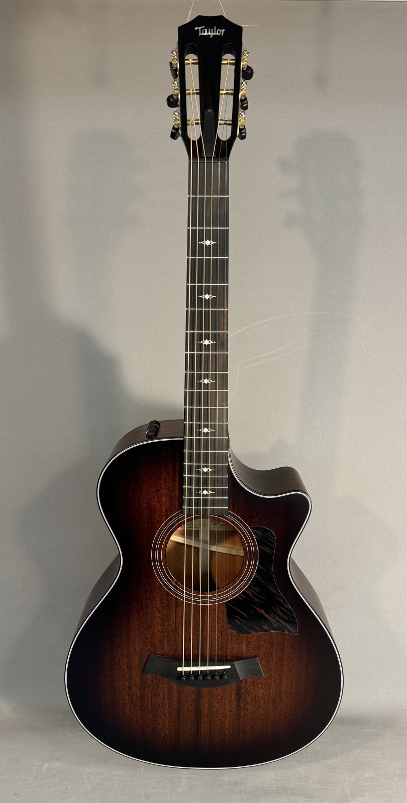 Taylor 322ce 12 Fret - 887766128076