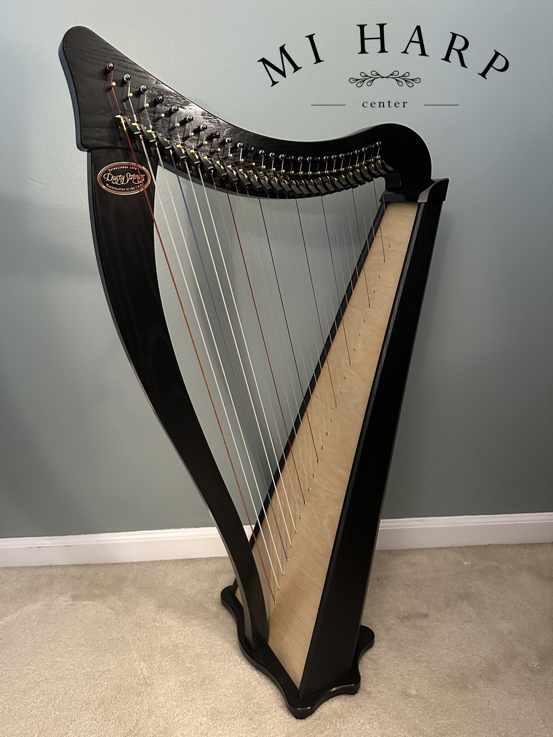 Dusty Strings: Ravenna 26 (Black)