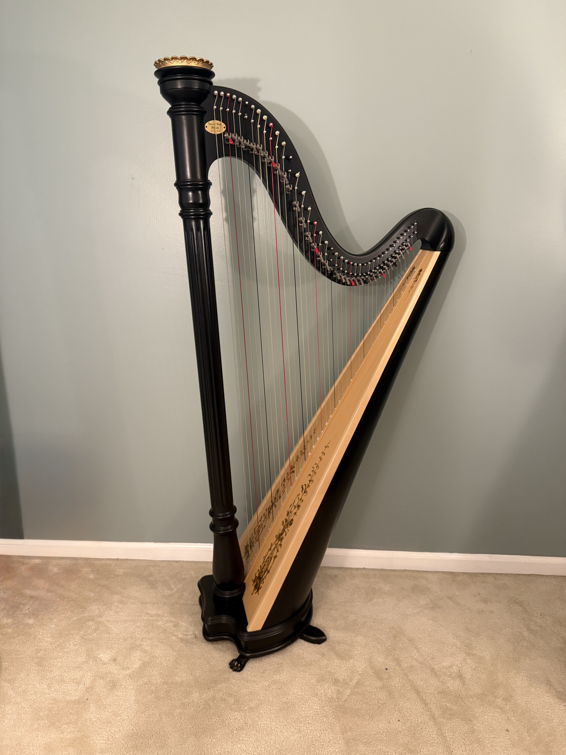 ヒーリー Healy Lyon & Healy: Prelude 40 (Black, #63406)