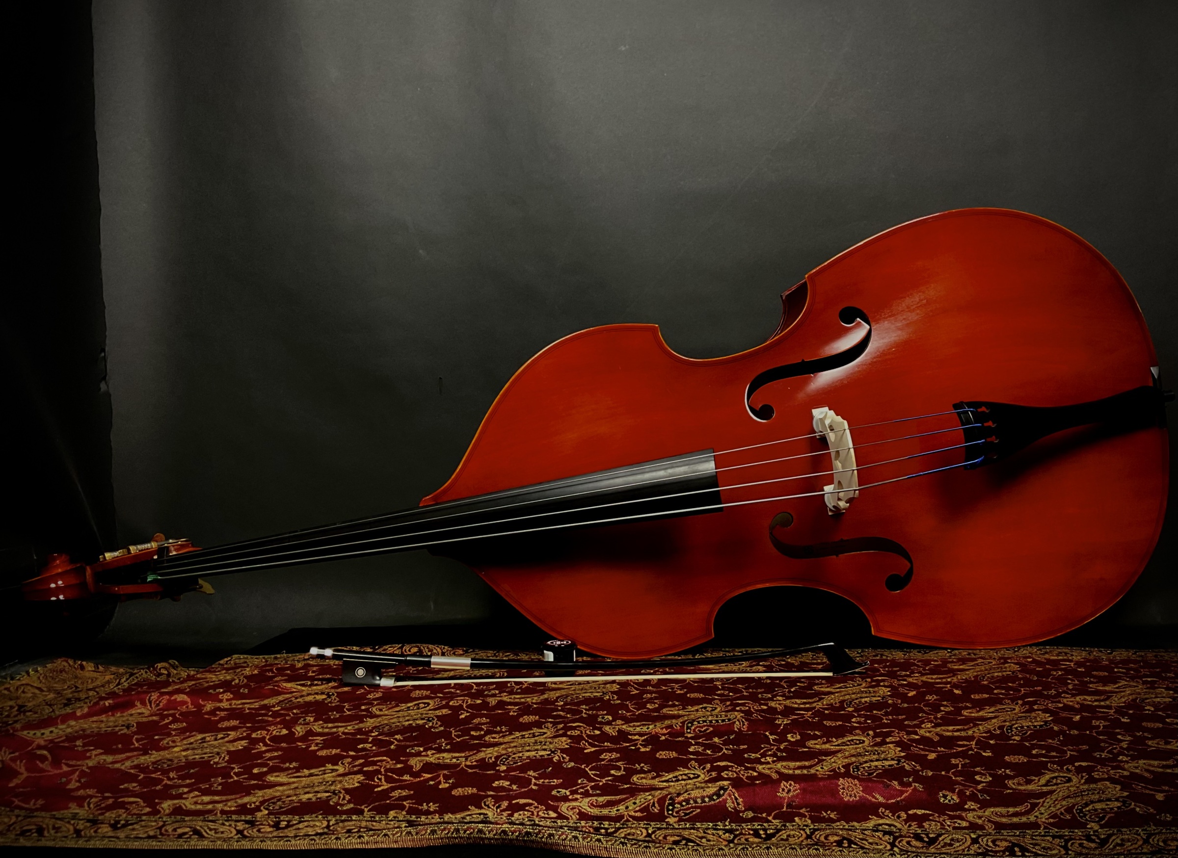 Double Bass Renewal - Full School Year with Maintenance Fee.  Includes Summer for Free - Renewed through 6/30/2027