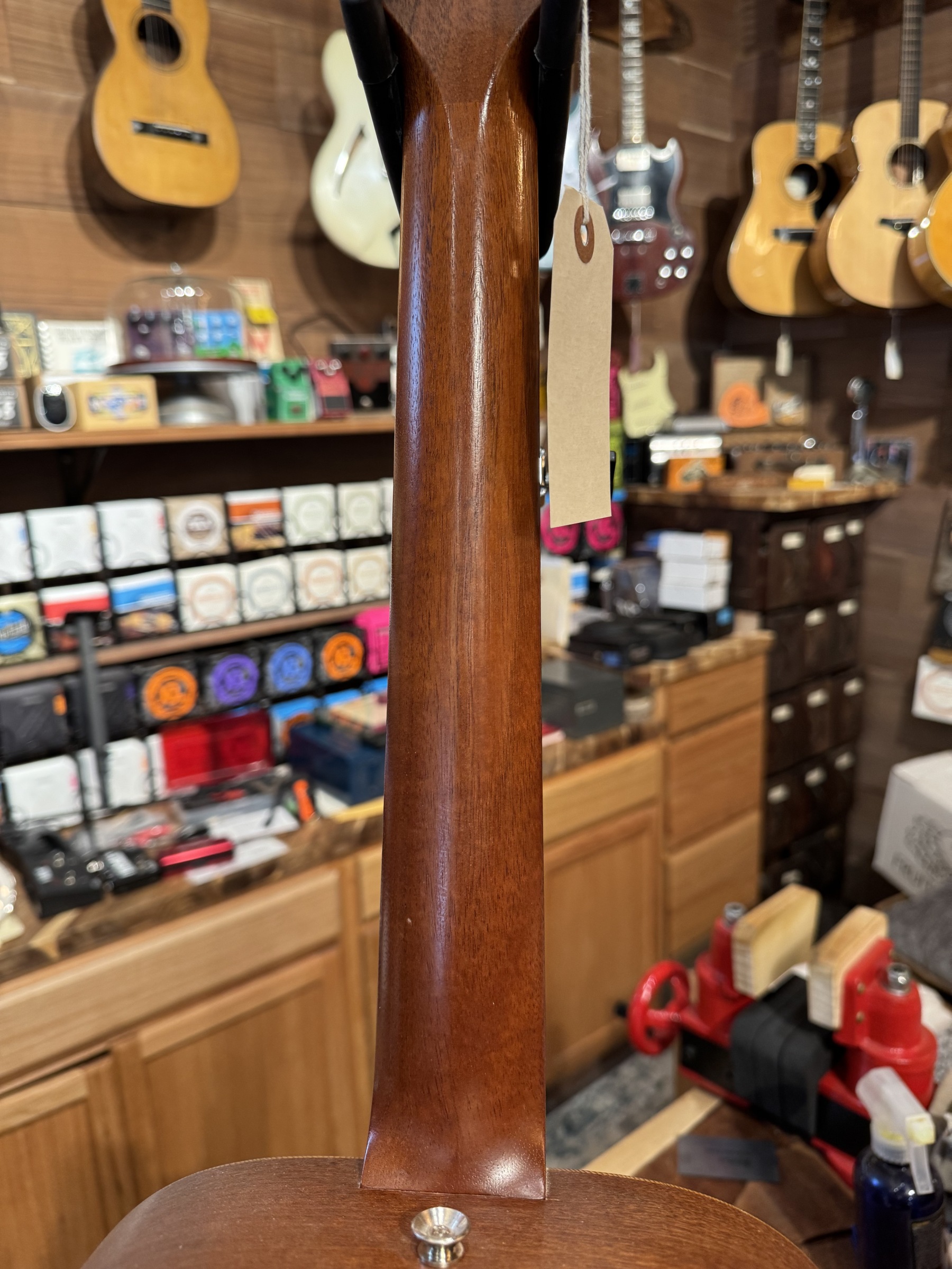 Taylor Baby Taylor 301-GB