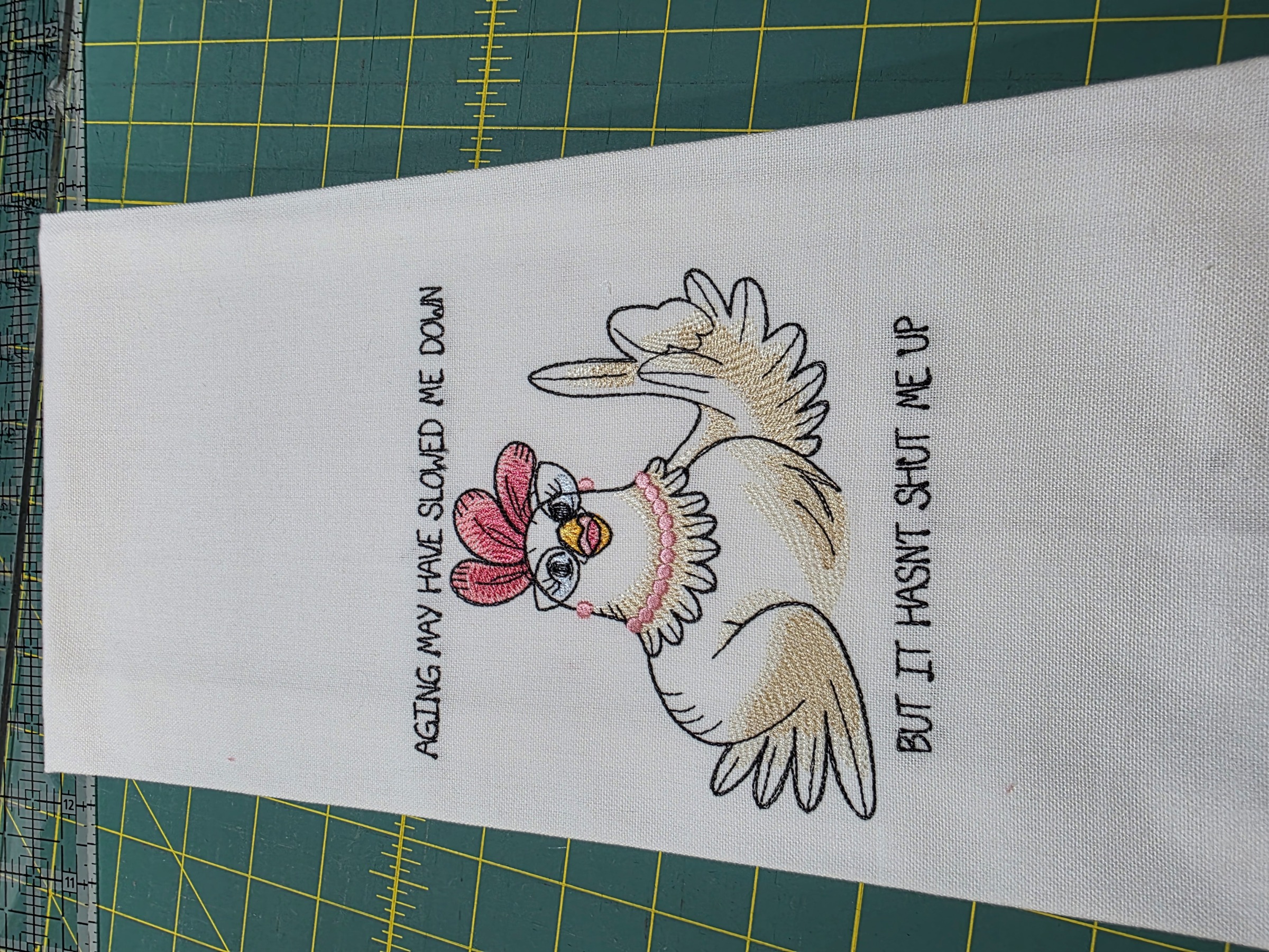 9726005 - Aging May HAve Slowed Me Down But it HAsn't Shut me UP