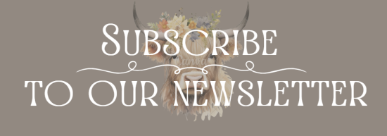 Subscribe to Our Newsletter - Gray
