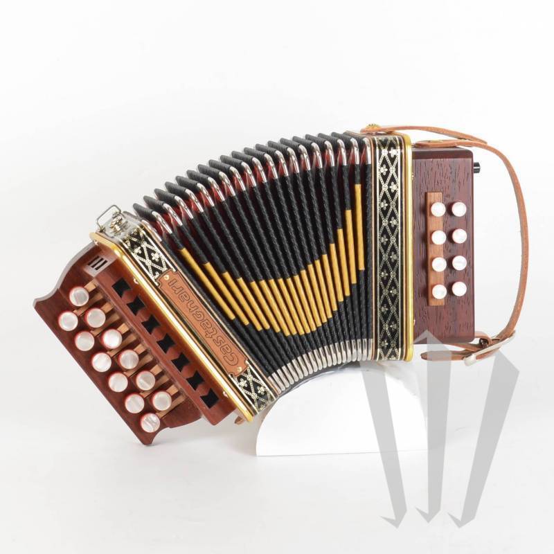 Castagnari Giordy Button Accordion DG with Gig Bag - Maple