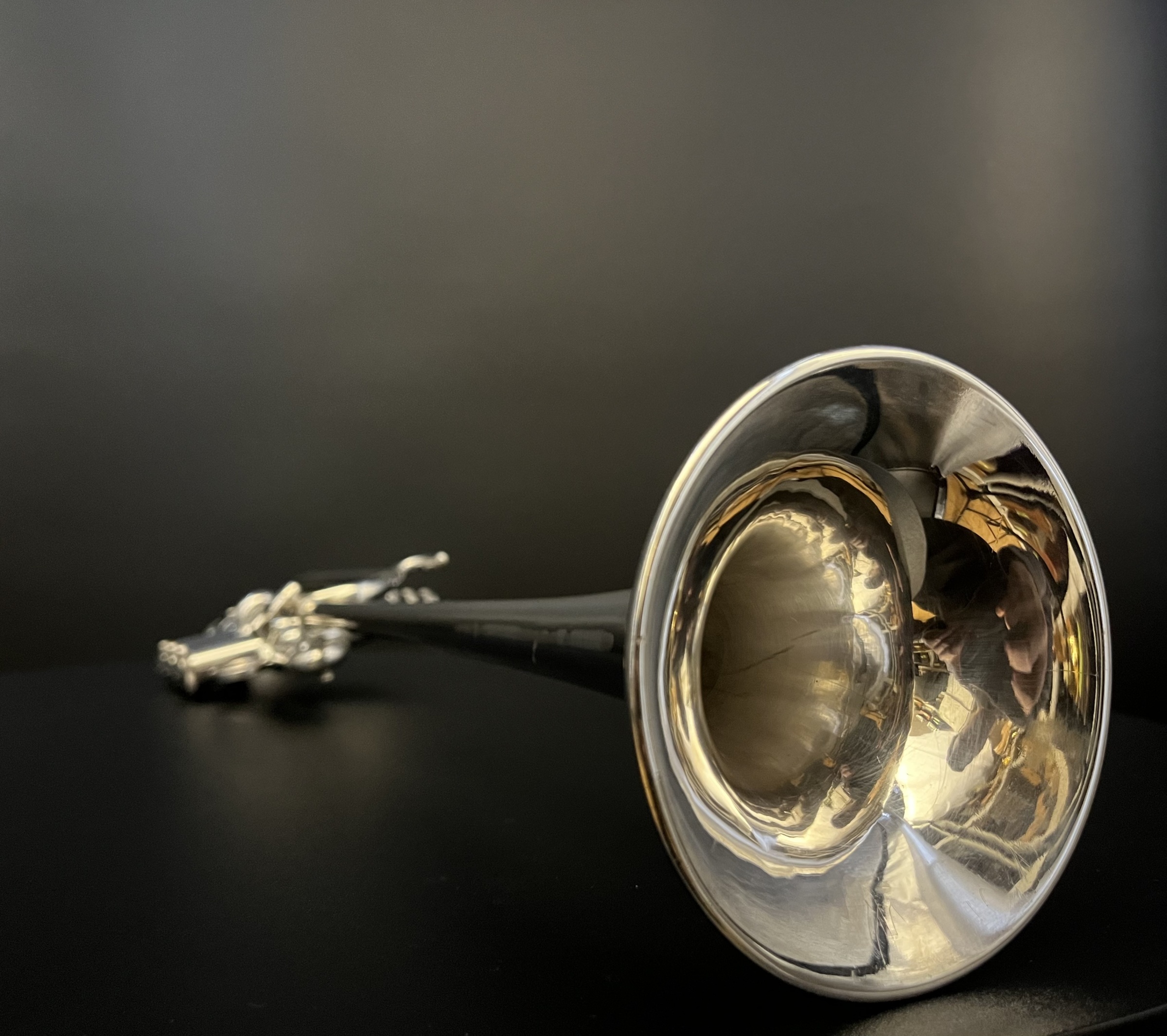 Bach_Stradivarius_Model_311_Bb